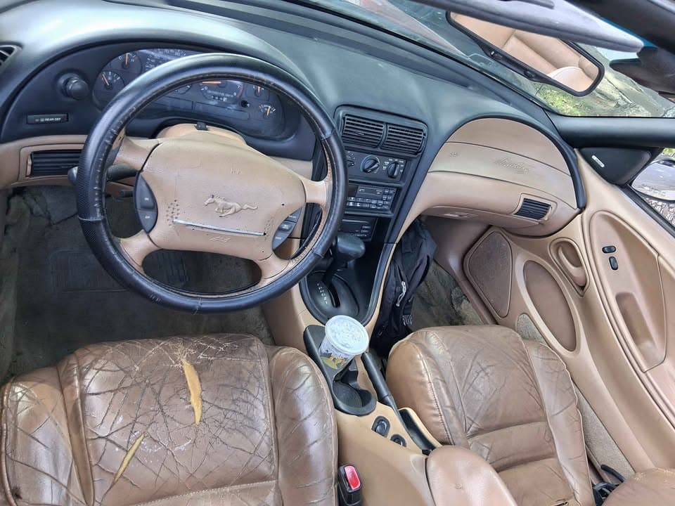 1998 Ford Mustang GT view 6